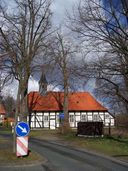 Bild 3 von 5 Linden an der alten Kapelle im Ortsteil Lippling